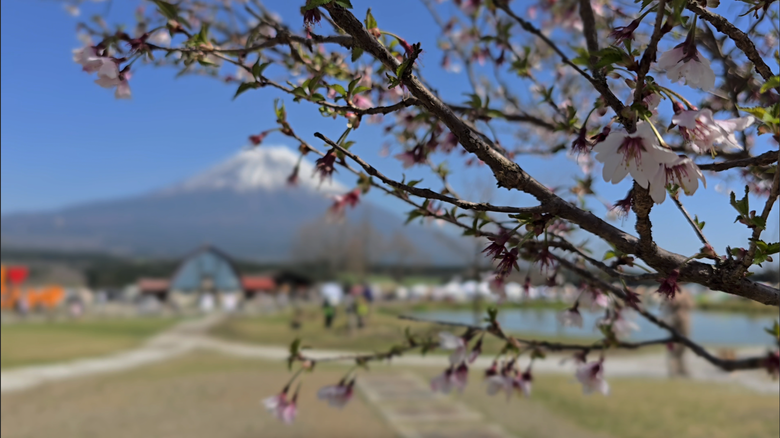 願望實現 富士山下露營｜大雨爛泥後日出那一刻超感動｜想去嗎？先看我怎麼玩(上集)｜2026 GOOUT JAMBOREE