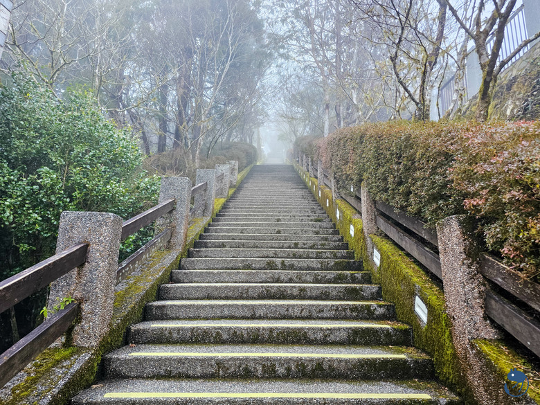 宜蘭-大同|*煙嵐雲岫* 太平山快閃之旅