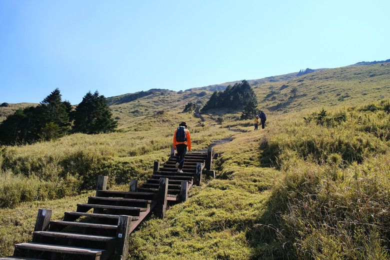 【合歡山東峰】絕美的登山步道與高山杜鵑花