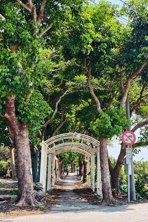 田中太保|大林→嘉油→保鹿 Bike way|騎小布縱貫線漫遊四縣市
