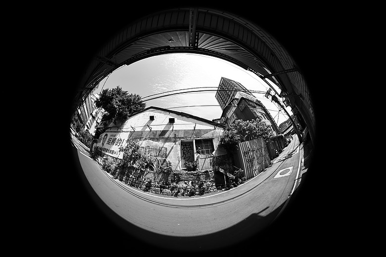 Canon RF 7-14mm F2.8-3.5L Fisheye STM 評測報告｜當圓周遇上對角線、探索 190° 的極限視覺張力！