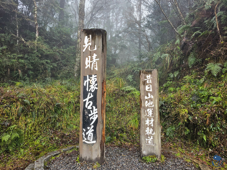 宜蘭-大同|*煙嵐雲岫* 太平山快閃之旅