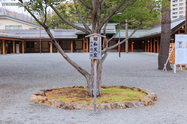 整理老相片-2019北海道