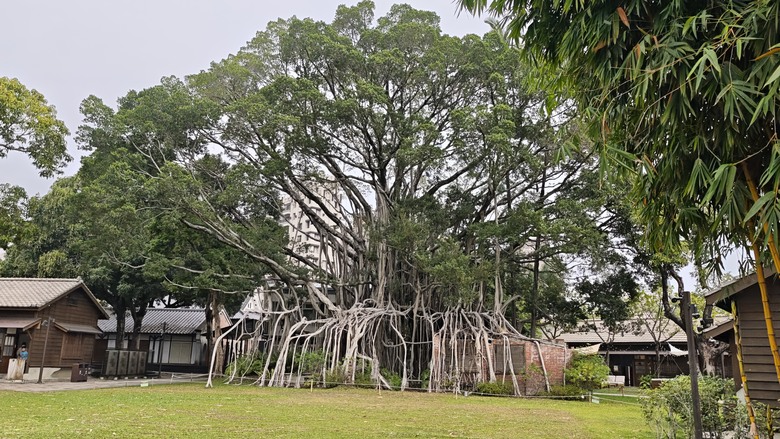我們家的兩天一夜中部之旅 - 九九峰動物樂園 / 台中林酒店 / 三山燒肉 / 不二糕餅 / 國家漫畫博物館 /Coffee Stopover
