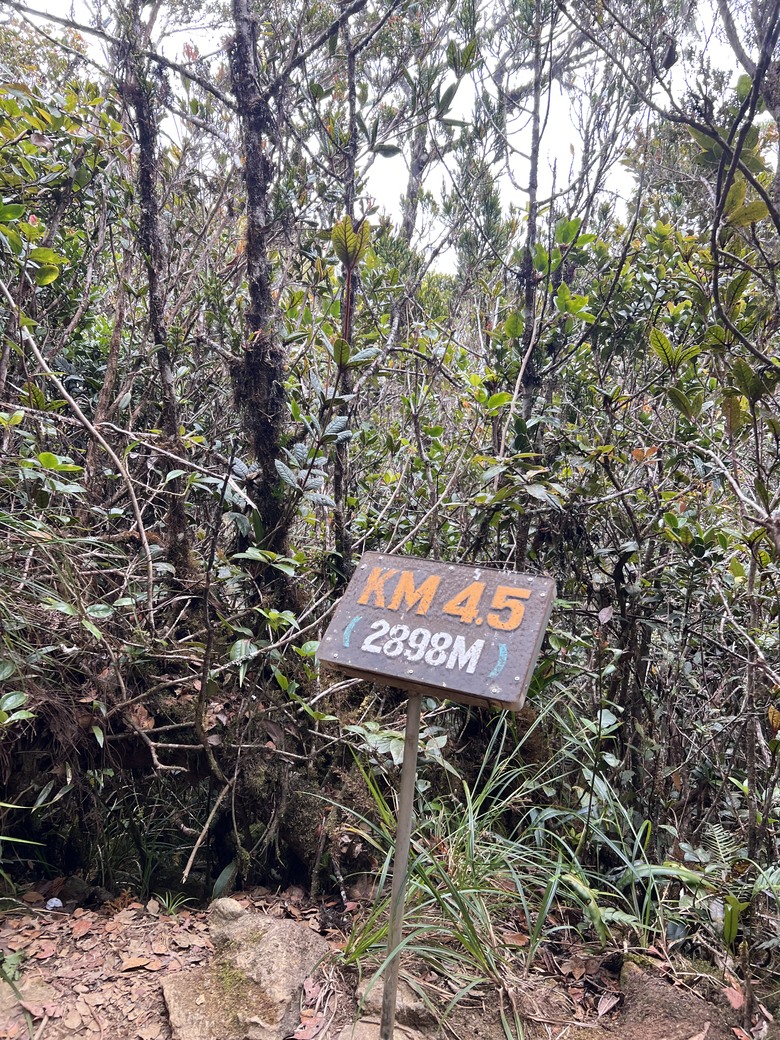 一神, 二玉, 三富士山~ 1,2,3準備出國去爬山 ! 3,2,1 自我挑戰好得意 !