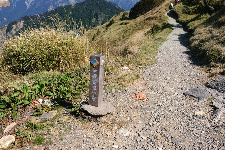 【合歡山東峰】絕美的登山步道與高山杜鵑花