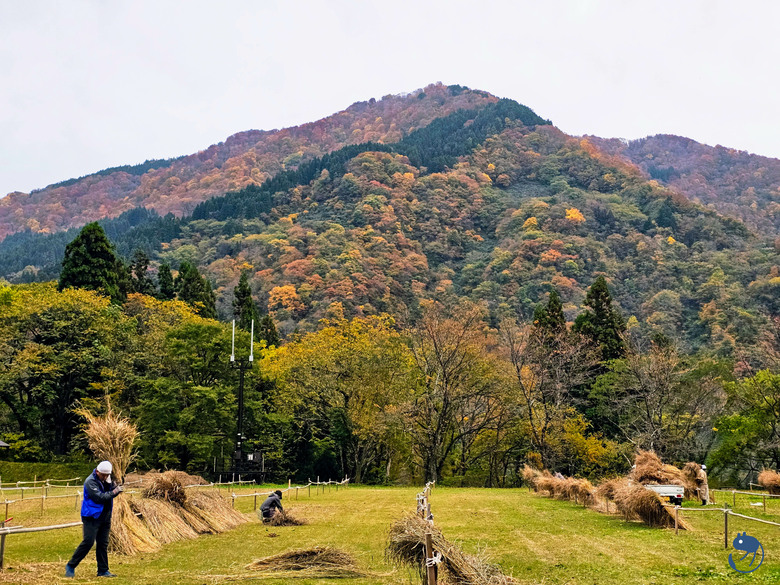 日本-富山南礪|*深山中的世外桃源* 越中五箇山相倉合掌村 相倉合掌造り集落