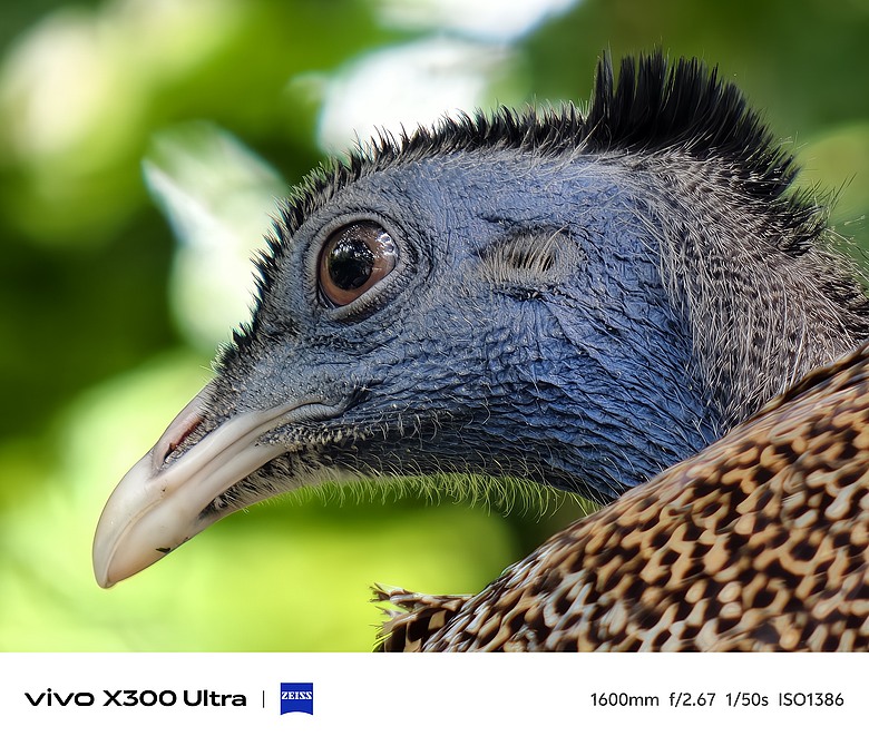 vivo X300 Ultra 評測報告｜不僅效能封頂、更是影像超旗艦！
