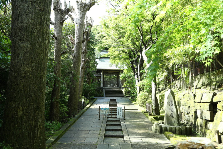 [關東] そうだ、鎌倉、横浜、箱根へ行こう。