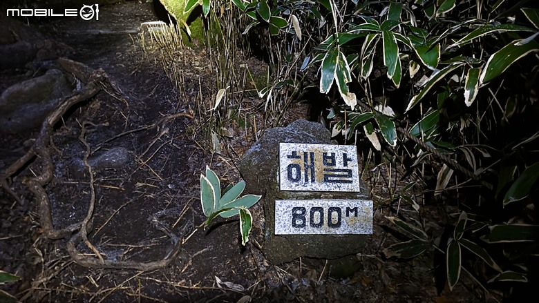 南韓最高峰 | 白雪漢拏山 |濟州島登山行程