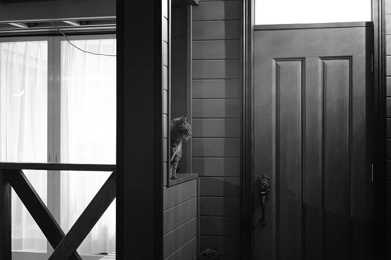 [分享] 當旅遊照少了色彩(下) — Leica M10