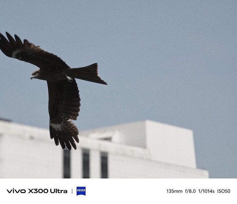 vivo X300 Ultra 評測報告｜不僅效能封頂、更是影像超旗艦！