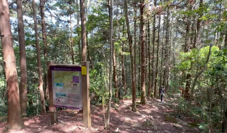 【谷關七雄】等到了！絕美瀑布「蝴蝶谷」步道重新開放！順登唐麻丹山全紀錄！