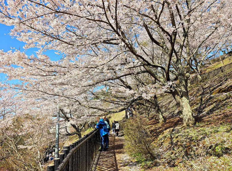 帶著小米14u去旅行_富士山下的雙湖慢旅