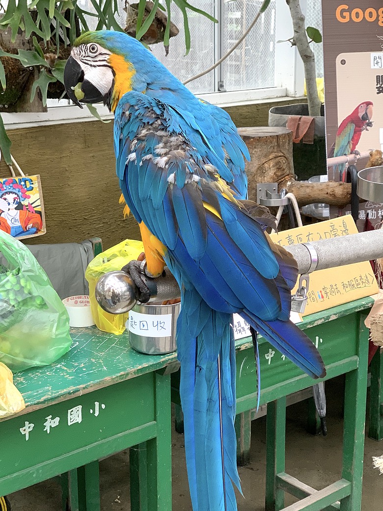 ＜宜蘭＞兩天一夜小旅行～光宅咖啡廳、入住捷絲旅、橘之鄉蜜餞形象館、蘭陽動植物王國