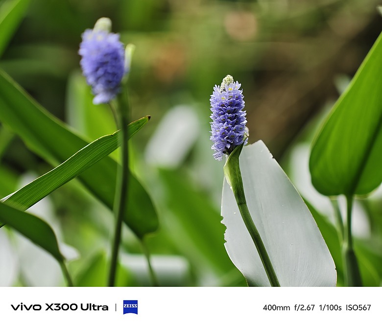vivo X300 Ultra 評測報告｜不僅效能封頂、更是影像超旗艦！