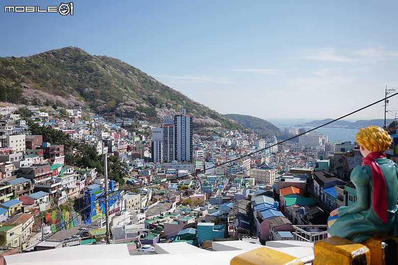 釜山賞櫻員工旅遊(下)
