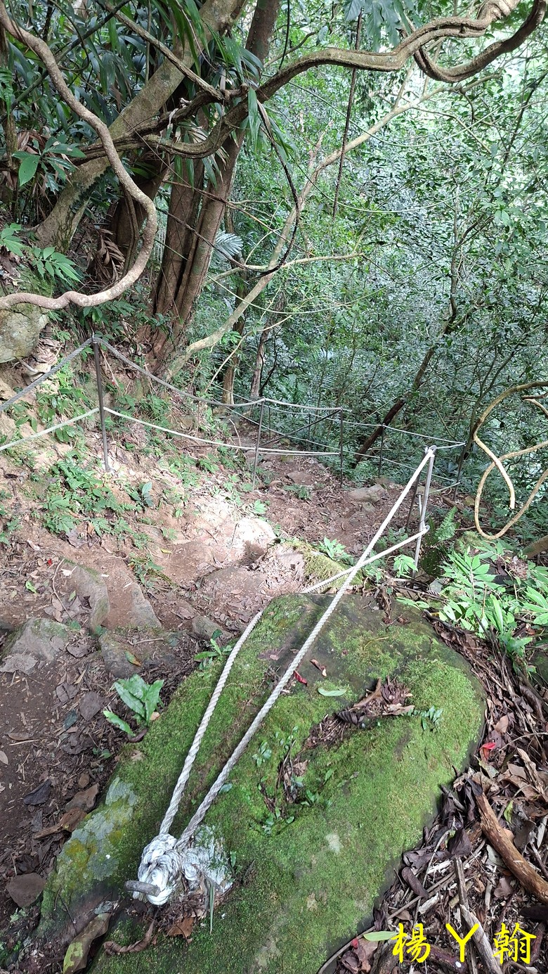 【郊山走走】馬胎古道、馬胎二期古道、南坪古道 山林輕鬆健行