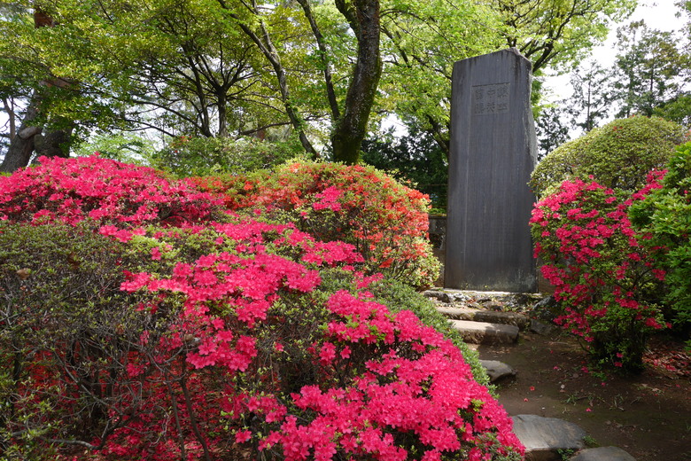 築地本願寺 舊JR原宿車站 烏森神社 小江戶川越