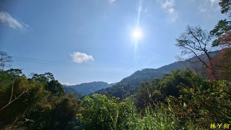 【郊山走走】馬胎古道、馬胎二期古道、南坪古道 山林輕鬆健行