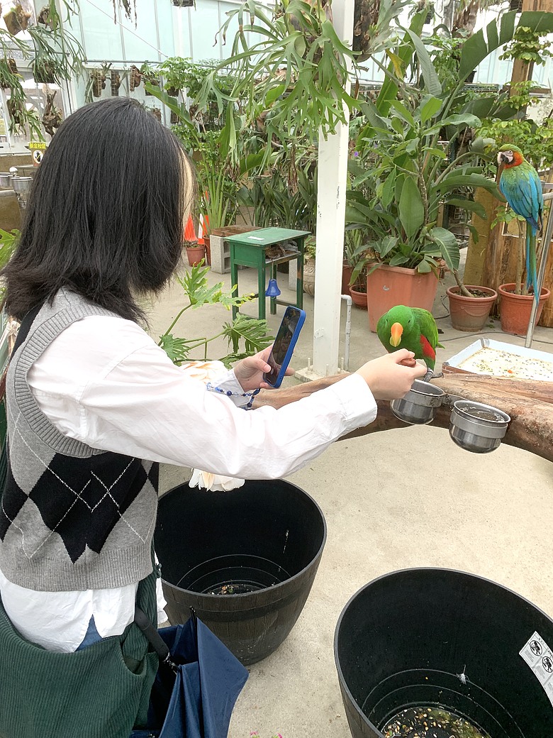 ＜宜蘭＞兩天一夜小旅行～光宅咖啡廳、入住捷絲旅、橘之鄉蜜餞形象館、蘭陽動植物王國