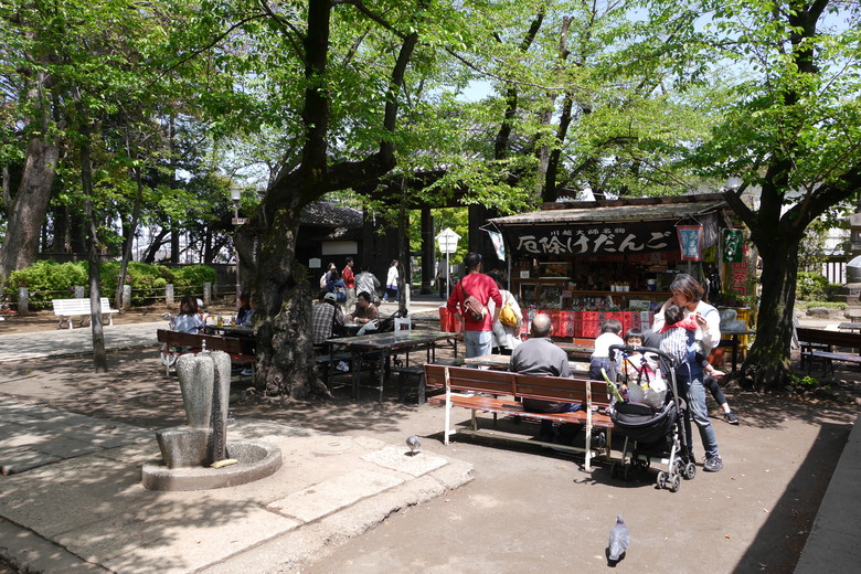 築地本願寺 舊JR原宿車站 烏森神社 小江戶川越