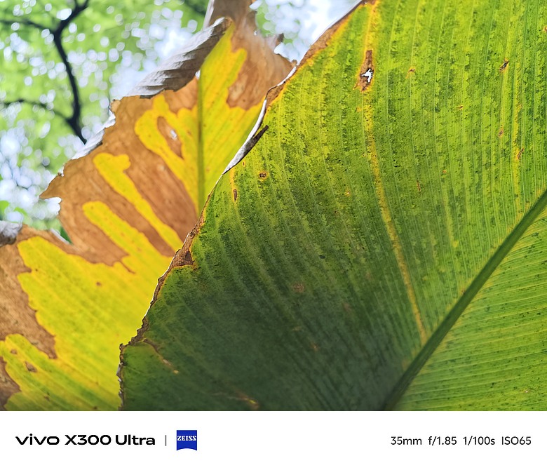 vivo X300 Ultra 評測報告｜不僅效能封頂、更是影像超旗艦！