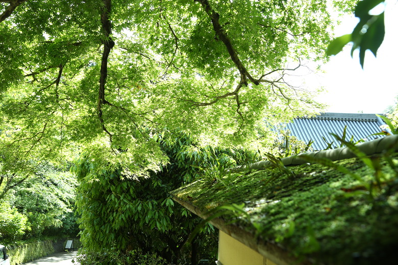 [關東] そうだ、鎌倉、横浜、箱根へ行こう。