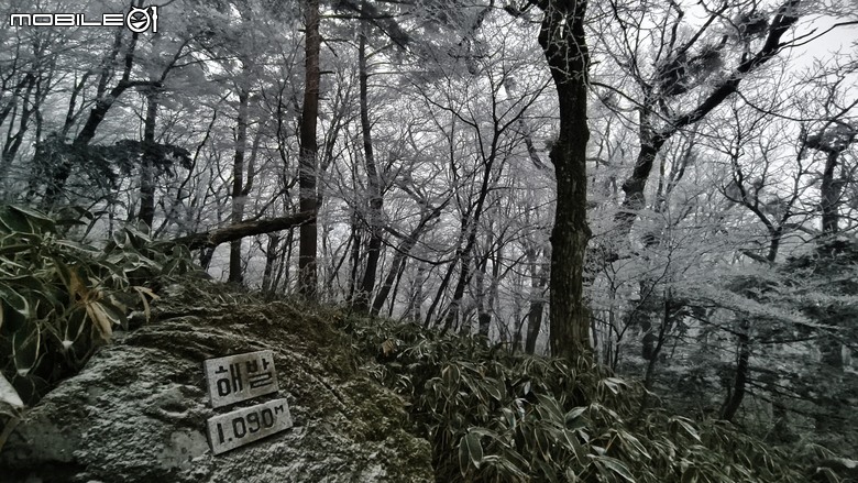 南韓最高峰 | 白雪漢拏山 |濟州島登山行程