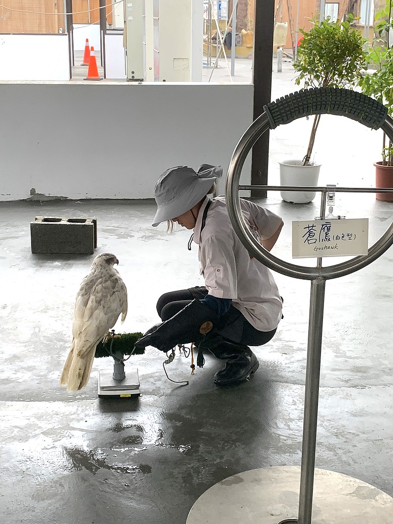 ＜宜蘭＞兩天一夜小旅行～光宅咖啡廳、入住捷絲旅、橘之鄉蜜餞形象館、蘭陽動植物王國