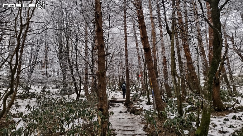 南韓最高峰 | 白雪漢拏山 |濟州島登山行程
