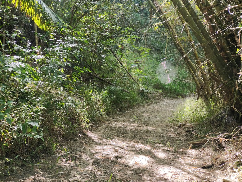 大野狼穿越環島(二)-六龜-杉林經典穿越
