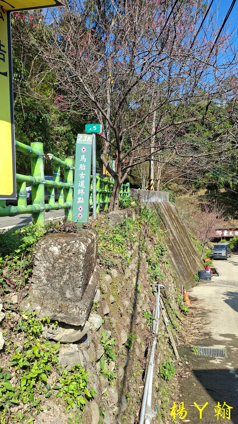 【郊山走走】馬胎古道、馬胎二期古道、南坪古道 山林輕鬆健行