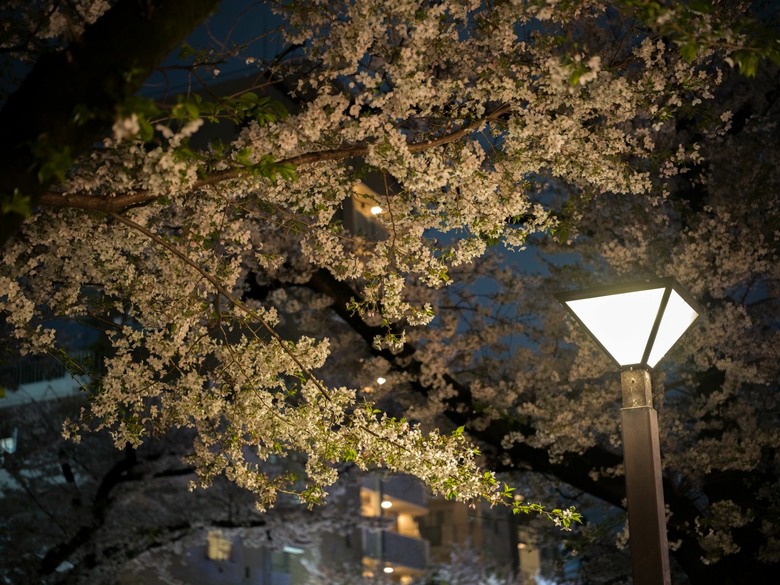 東京9天8夜