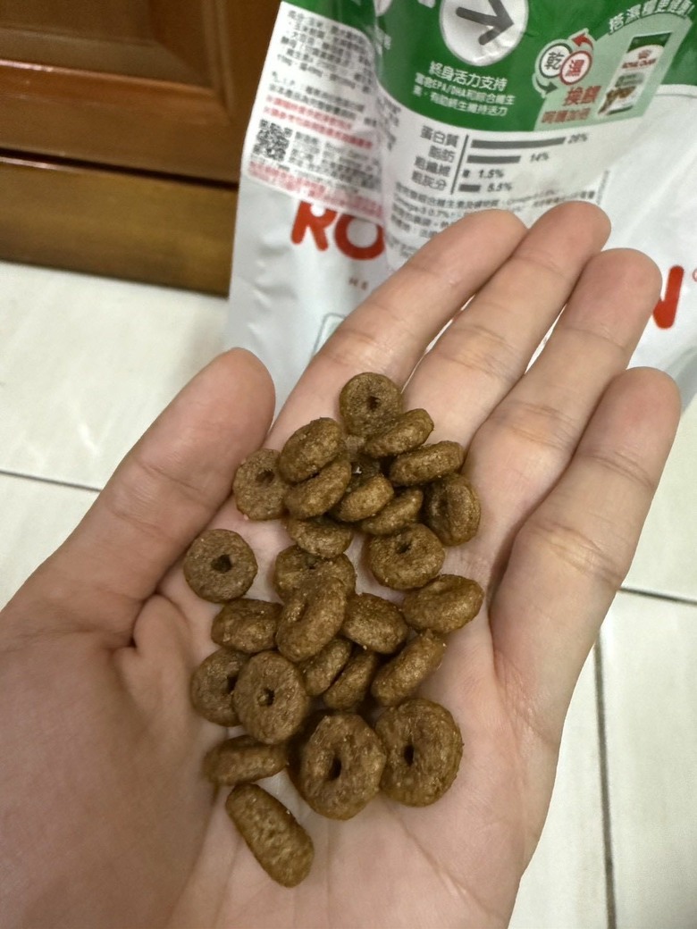 從小吃皇家飼料吃到大~12歲健康長壽老狗勾
