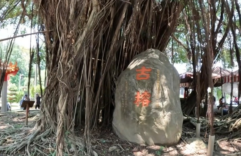 彰化隱藏版「黃金山丘」！看完三級古蹟「虎山巖」金針花，必吃這碗阿宏豬腳飯！