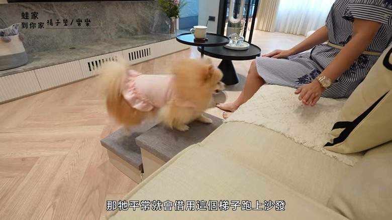 細節造就快樂小狗!開箱設計師的寵物宅,玄關動線、收納清潔全是主人的愛