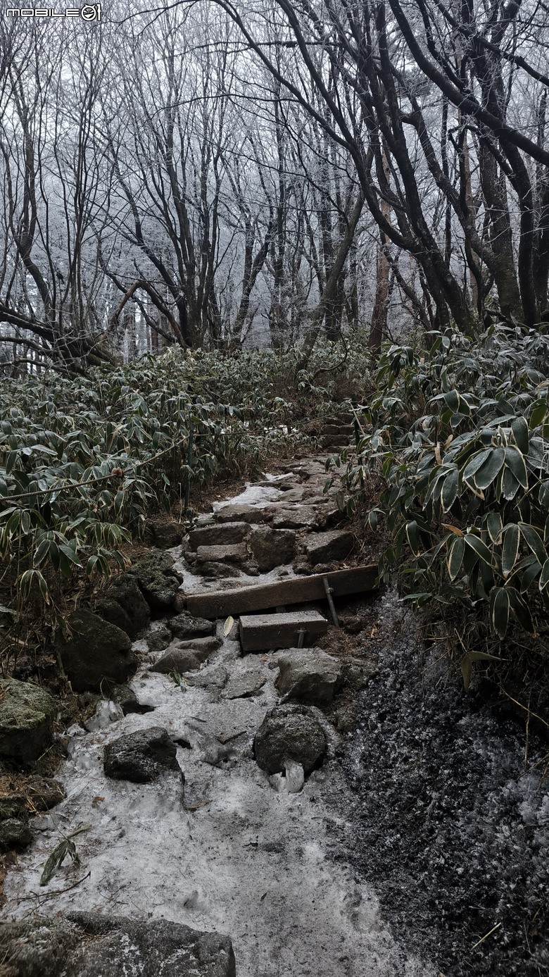 南韓最高峰 | 白雪漢拏山 |濟州島登山行程