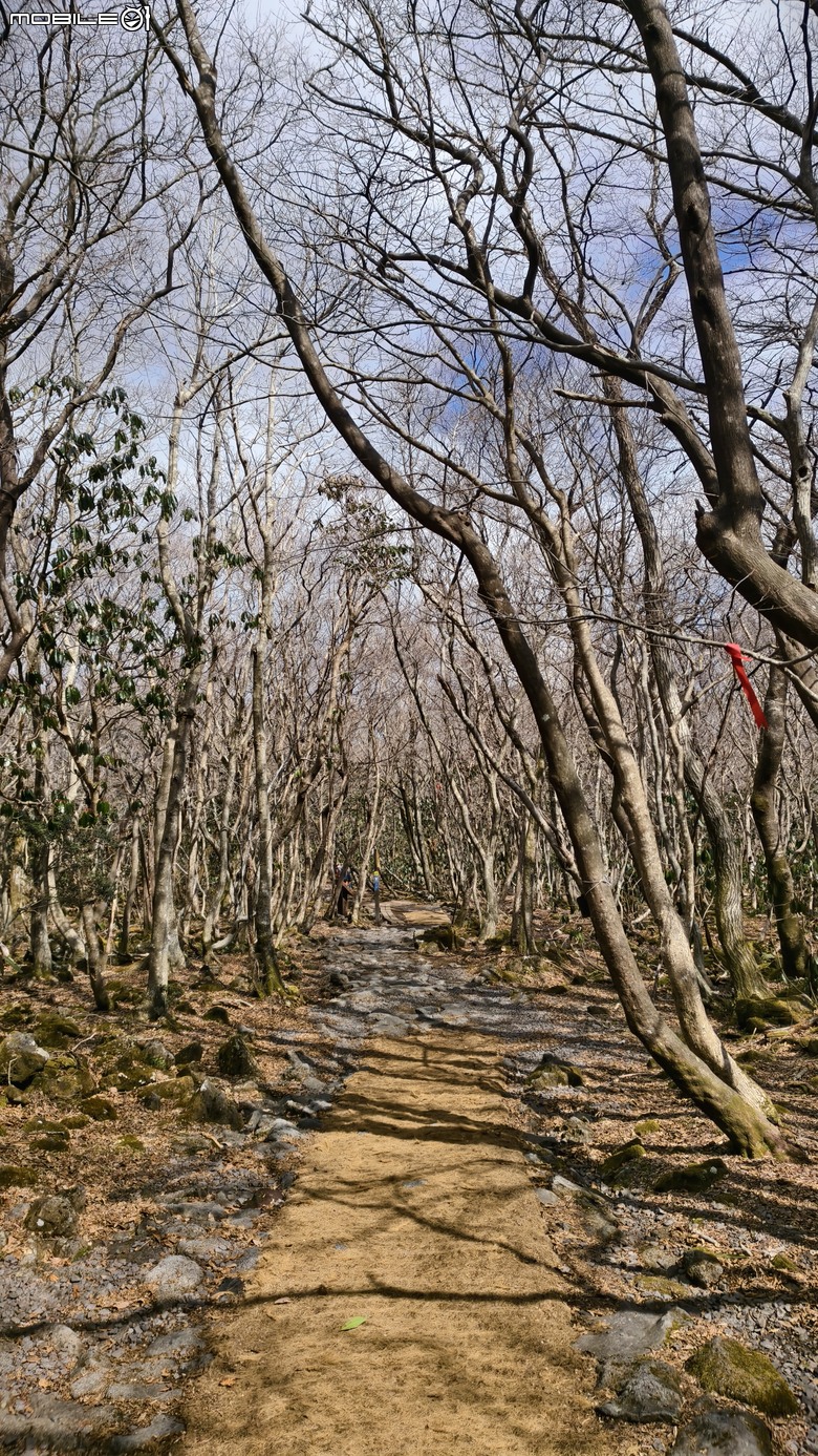南韓最高峰 | 白雪漢拏山 |濟州島登山行程