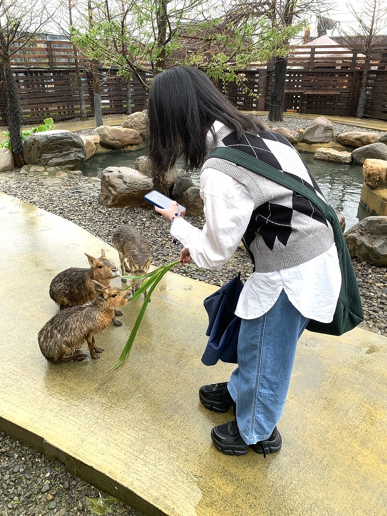 ＜宜蘭＞兩天一夜小旅行～光宅咖啡廳、入住捷絲旅、橘之鄉蜜餞形象館、蘭陽動植物王國
