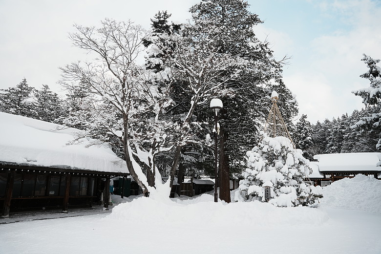點我看大圖 2026 北海道12天小蜜月 (終)『暴風雪裡的余市蒸餾所 & 北海道唯一米其林三星法餐』