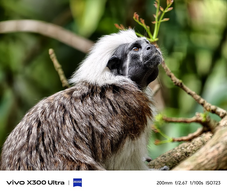 vivo X300 Ultra 評測報告｜不僅效能封頂、更是影像超旗艦！