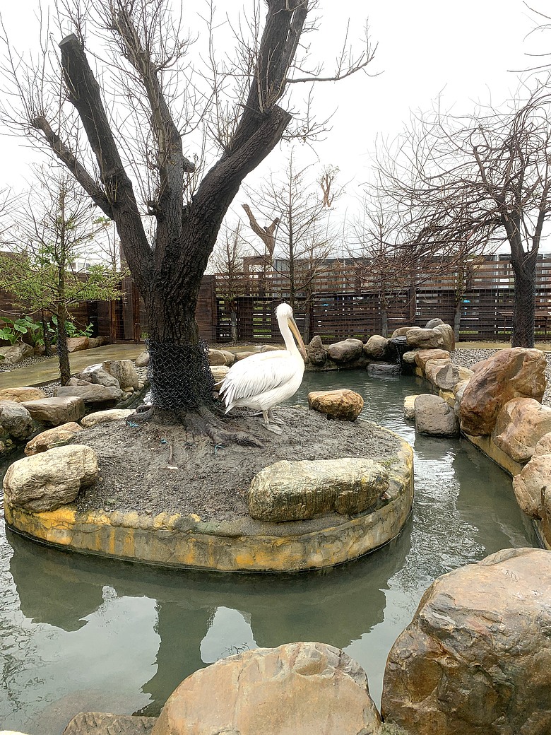 ＜宜蘭＞兩天一夜小旅行～光宅咖啡廳、入住捷絲旅、橘之鄉蜜餞形象館、蘭陽動植物王國