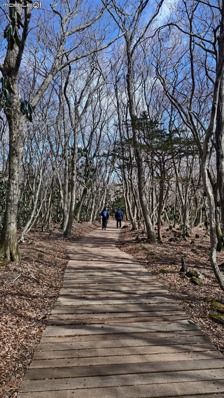 南韓最高峰 | 白雪漢拏山 |濟州島登山行程