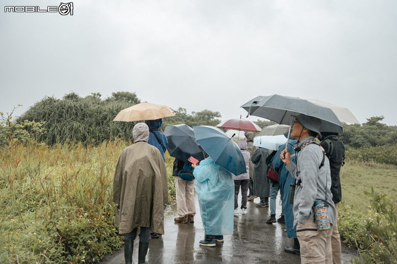 煙雨濛濛的驚豔之美:與海外歸國友人的挖仔尾賞鳥活動 SFL 50