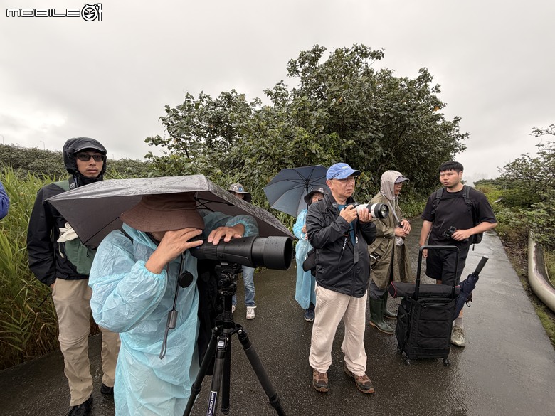 煙雨濛濛的驚豔之美：與海外歸國友人的挖仔尾賞鳥活動 SFL 50