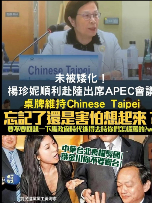 行政院政務委員楊珍妮出席APEC會議 名稱維持慣例「Chinese Taipei」