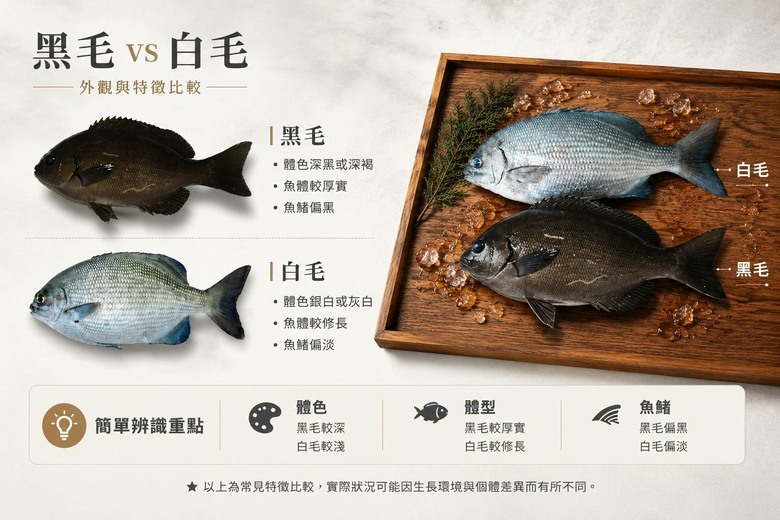 「海邊祕境P2｜露營釣魚｜白毛終於現身？結果釣獲的魚竟被咬掉一半！」