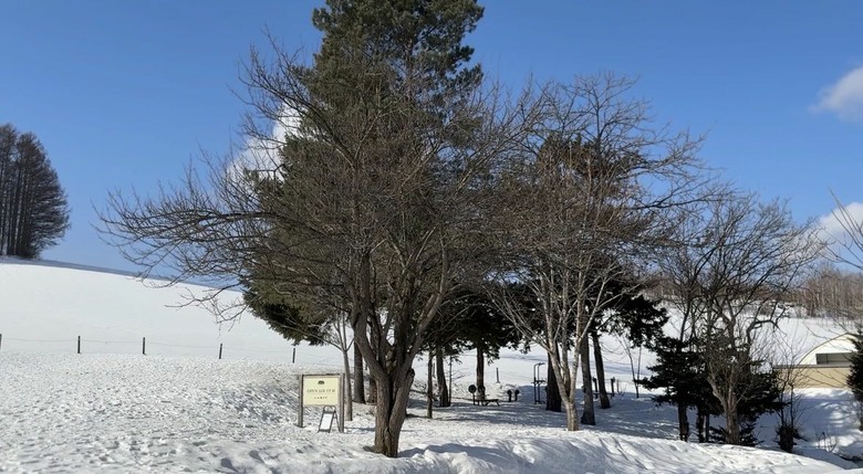 北海道八天七夜道央道東自駕遊 （中）