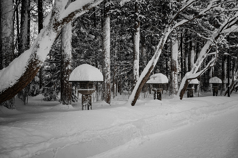 點我看大圖 2026 北海道12天小蜜月 (終)『暴風雪裡的余市蒸餾所 & 北海道唯一米其林三星法餐』